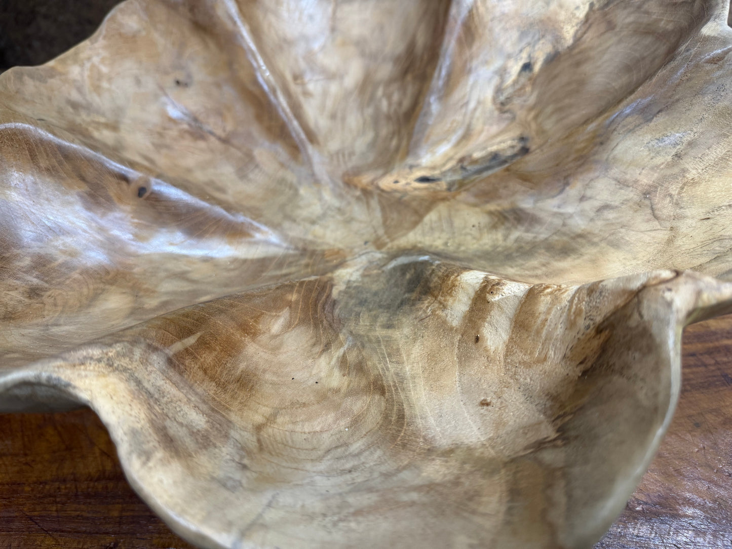 Hand-Carved 400-Year-Old Teak Root Bowl - 15" Live Edge Lotus Centerpiece